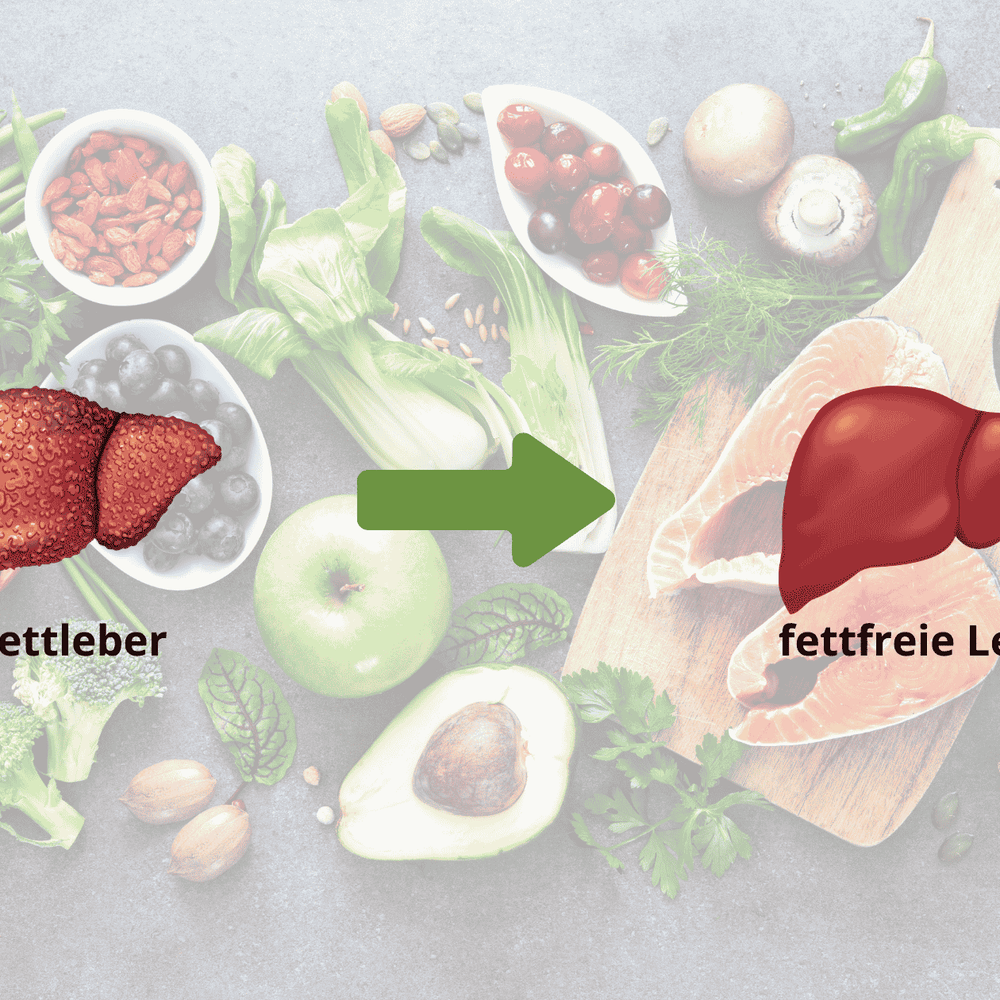 Im Hintergrund sieht man verschiedene Lebensmittel die zu einer fettfreien Leber beitragen, wie Beeren, Nüsse, Gemüse und Hülsenfrüchte. Im Vordergrund sieht man den Vergleich einer Fettleber links zu einer fettfreien Leber rechts.
